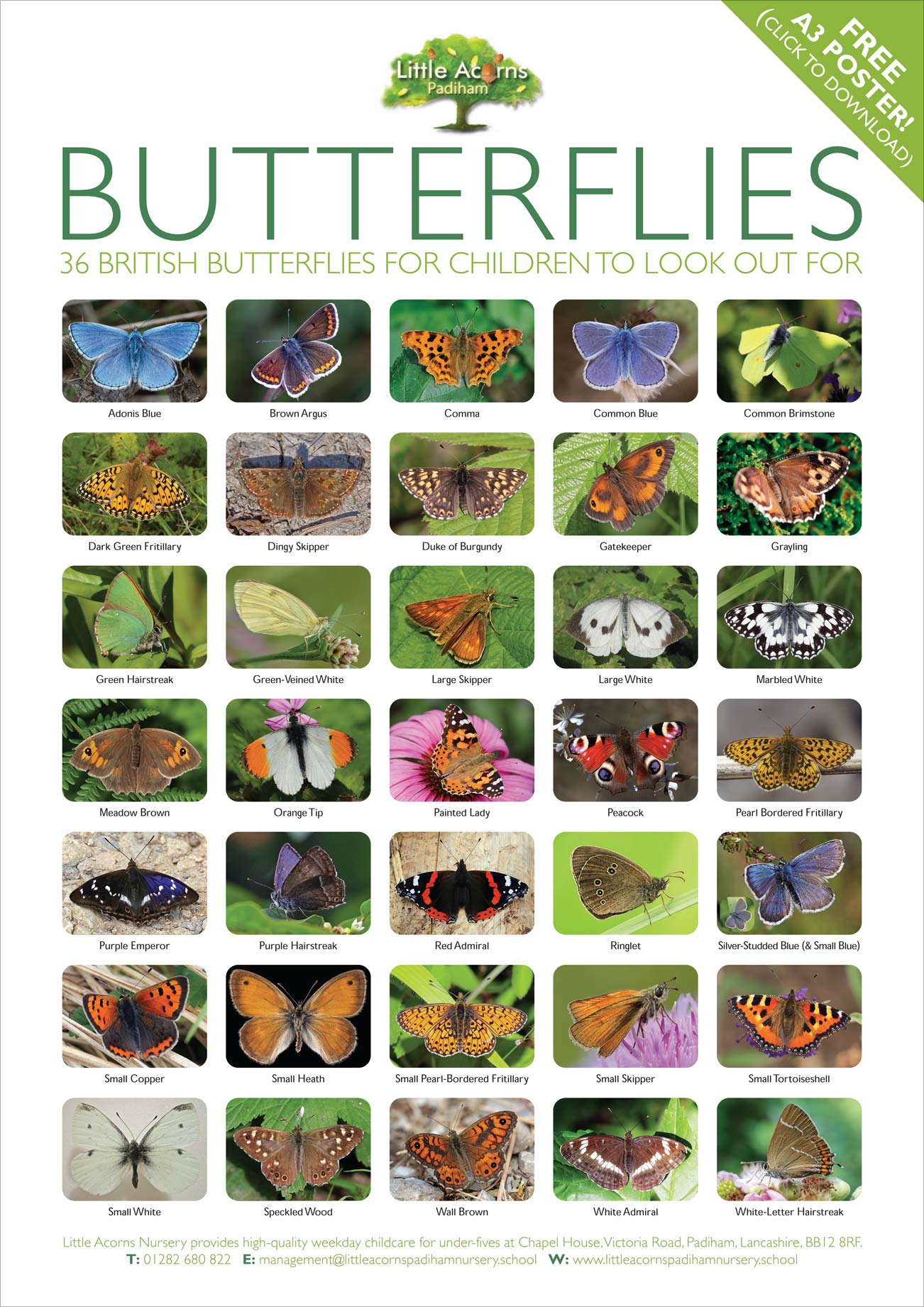 Preview of the Butterfly Spotting Activity Poster for children to download.
