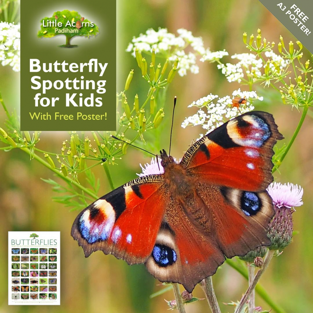 Free Childcare Hours for 3 & 4YearOlds (a Quick Guide)