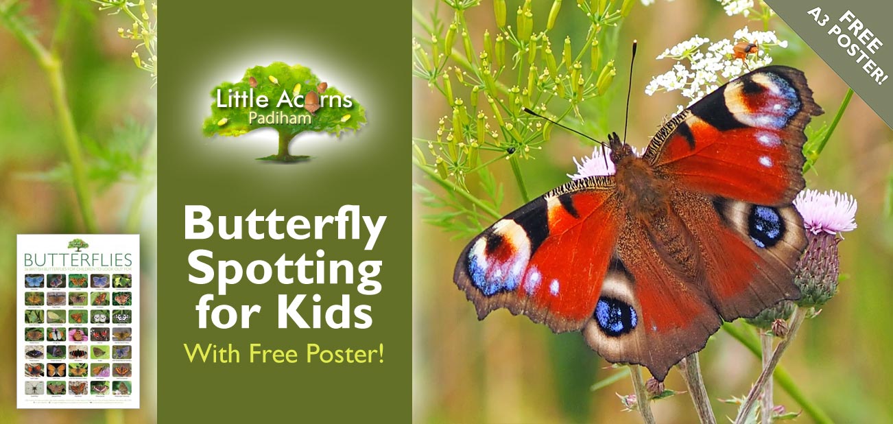 Butterfly Spotting Activity for Kids (with Free Poster!)