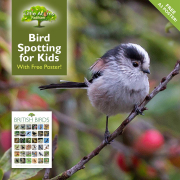 Bird Spotting Activity for Kids (with Free Poster!)