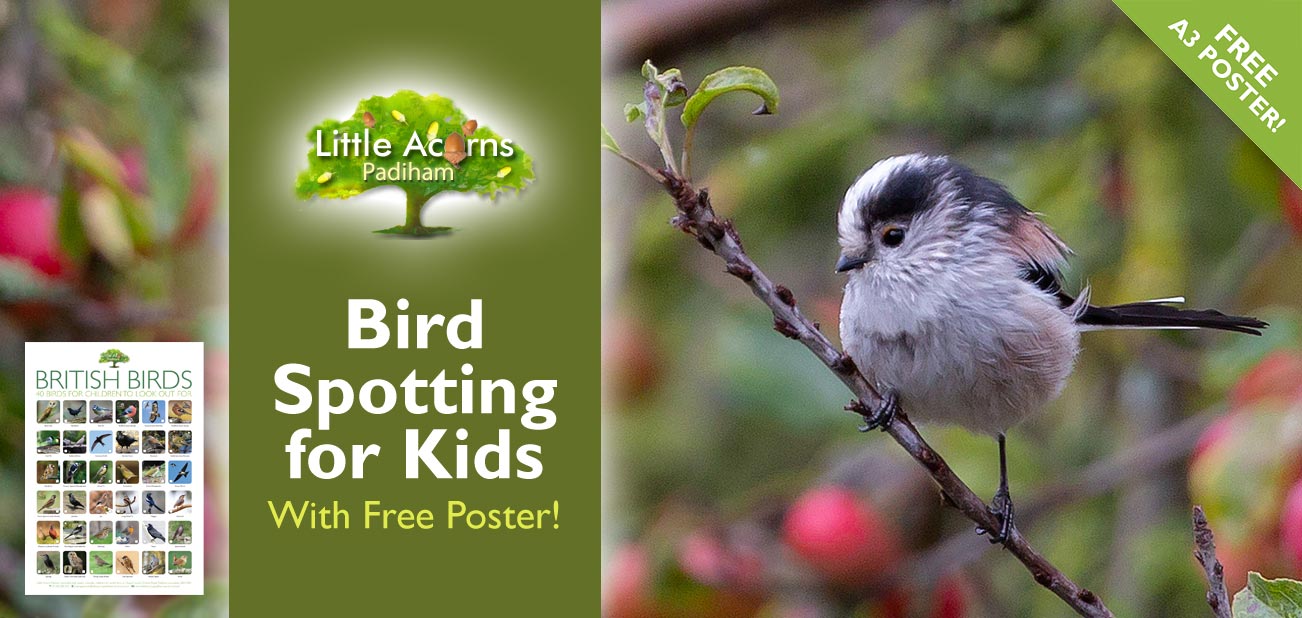 Bird Spotting Activity for Kids (with Free Poster!)