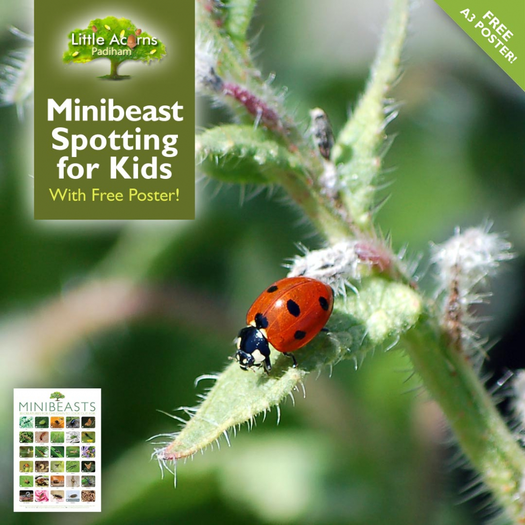 Free Childcare Hours for 3 & 4YearOlds (a Quick Guide)