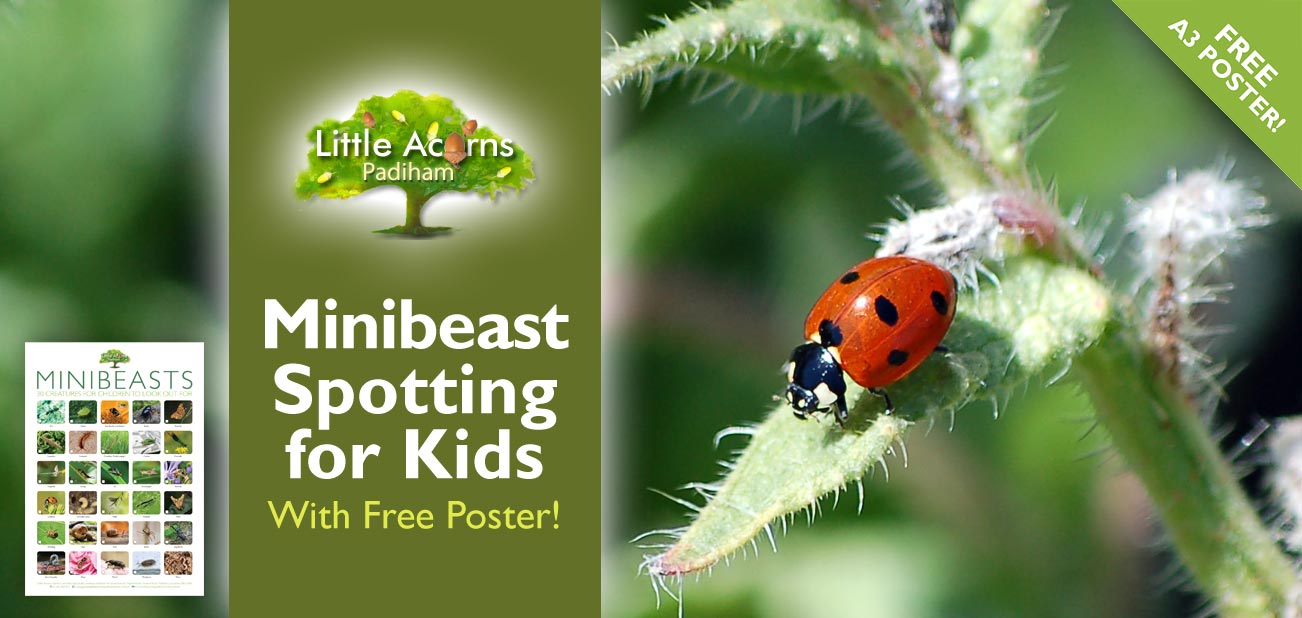 Minibeast Spotting Activity for Kids (with Free Poster!)