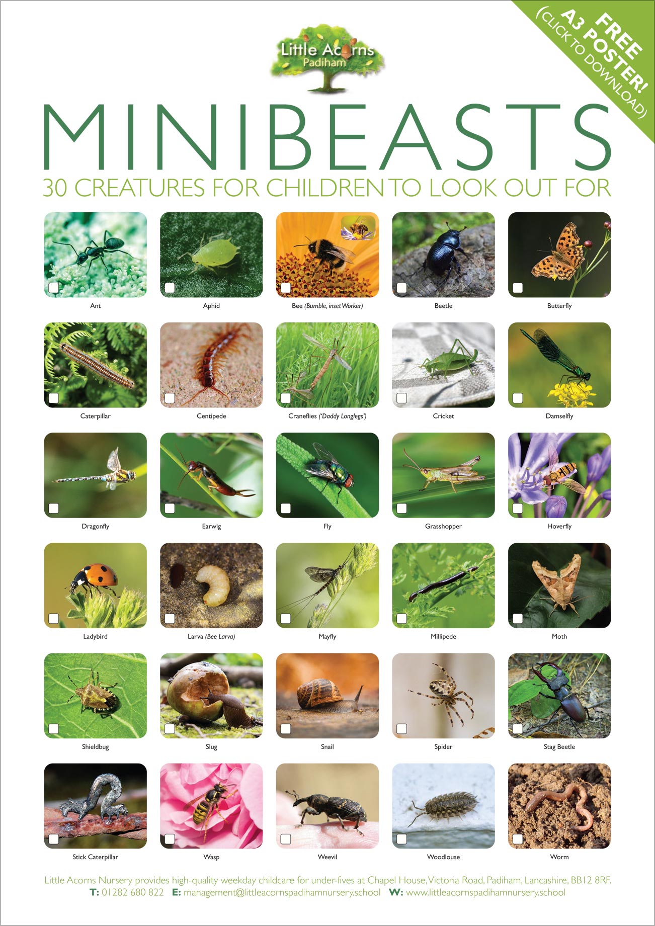 Preview showing the free minibeasts poster (click to download the high resolution version in Acrobat PDF format)
