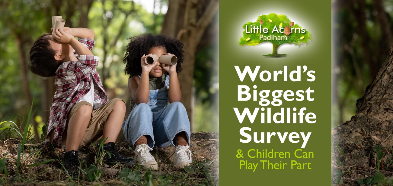 The World's Biggest Garden Wildlife Survey – & Children Can Play Their Part The World's Biggest Garden Wildlife Survey – & Children Can Play Their Part