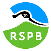 The Big Garden Birdwatch is organised by the RSPB each year.