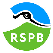 The Big Garden Birdwatch is organised by the RSPB each year. The Big Garden Birdwatch is organised by the RSPB each year.