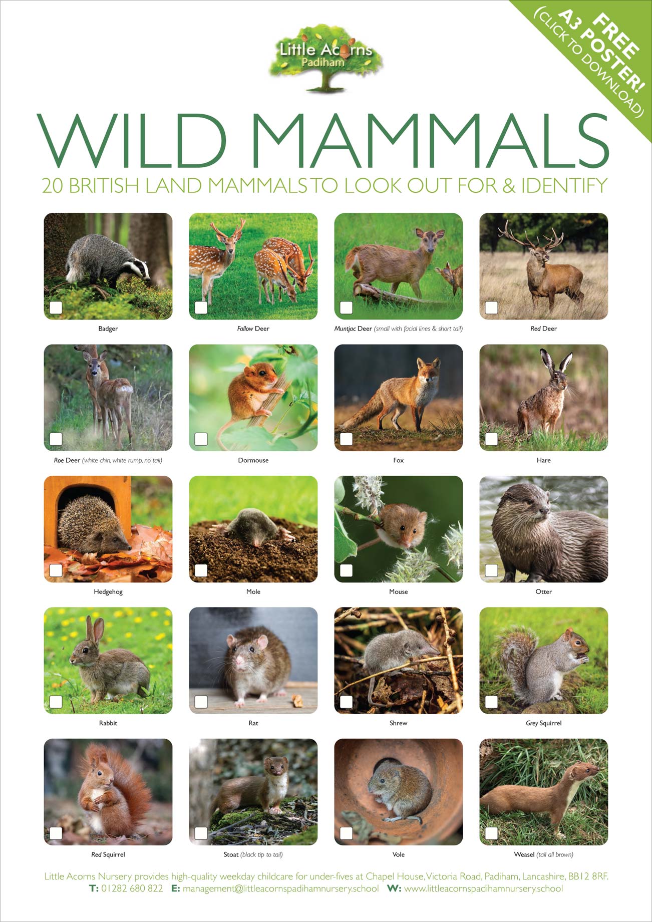 Preview of the free poster featuring 20 land mammals that can be spotted in Britain. Click to download. Preview of the free poster featuring 20 land mammals that can be spotted in Britain. Click to download.