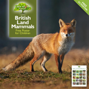Mammals-poster-FEATURED British Land Mammals – Free Poster for Children