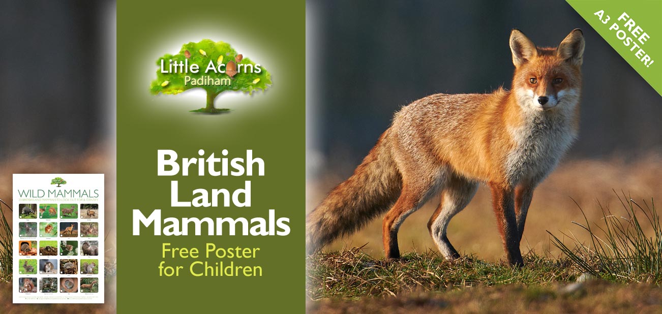 British Land Mammals – Free Poster for Children British Land Mammals – Free Poster for Children