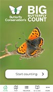 Families can use either the free app or ID sheet to identify butterflies and daytime-flying moths they spot. Families can use either the free app or ID sheet to identify butterflies and daytime-flying moths they spot.