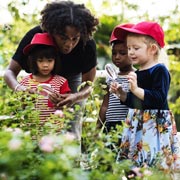 Over the course of 15 minutes, count the butterflies and daytime-flying moths that are included on the ID chart or smartphone app. Over the course of 15 minutes, count the butterflies and daytime-flying moths that are included on the ID chart or smartphone app.