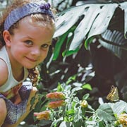 The Big Butterfly Count is free, enjoyable, educational, and hugely worthwhile for children and families to take part in. The Big Butterfly Count is free, enjoyable, educational, and hugely worthwhile for children and families to take part in.