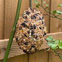 A finished pine cone bird feeder. A finished pine cone bird feeder.