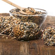 Making pine cone bird feeders. Making pine cone bird feeders.