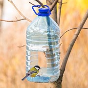 Plastic bottle bird feeder. Plastic bottle bird feeder.