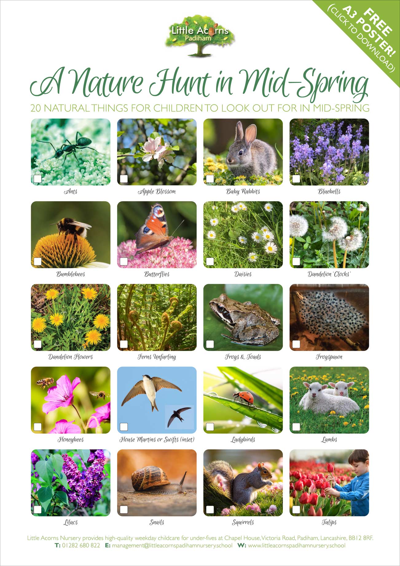 Preview of the Spring Nature Hunt activity poster and reference sheet. Click to download the high resolution version. Preview of the Spring Nature Hunt activity poster and reference sheet. Click to download the high resolution version.