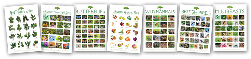 More children's activity posters are available free from this website. More children's activity posters are available free from this website.