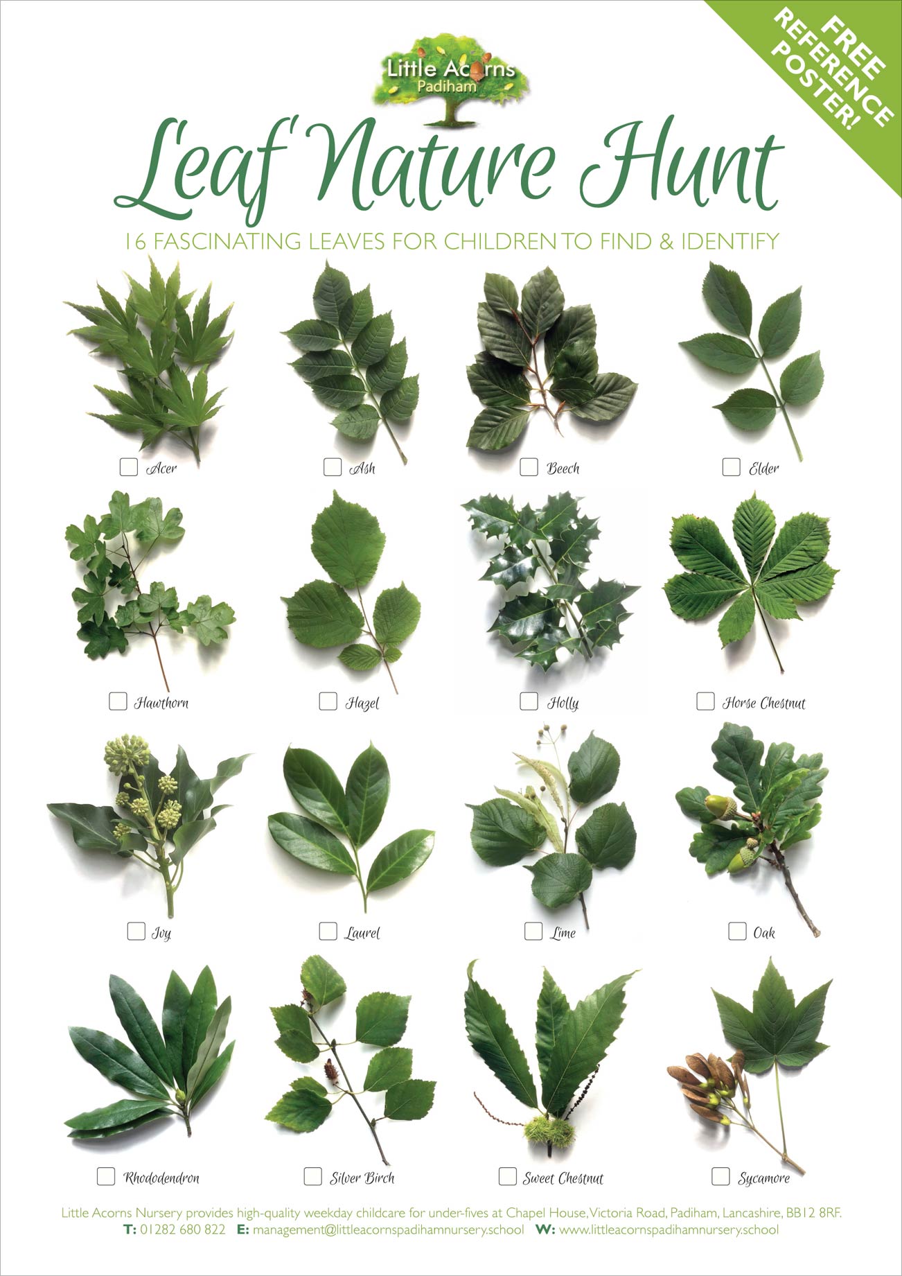 Download your free 'Leaf Nature Hunt' activity poster and reference sheet. Download your free 'Leaf Nature Hunt' activity poster and reference sheet.