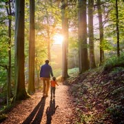 Take time with your child to watch the wonders of a fabulous sunset, or delight them with a pre-planned "adventure". Take time with your child to watch the wonders of a fabulous sunset, or delight them with a pre-planned "adventure".