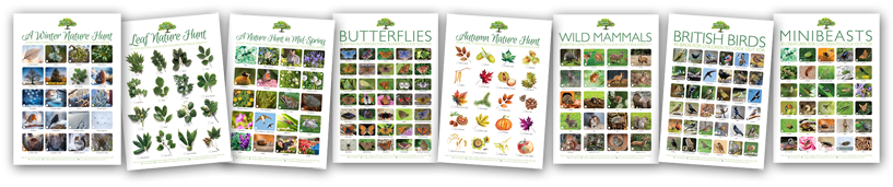 More children's activity posters are available free from this website. More children's activity posters are available free from this website.