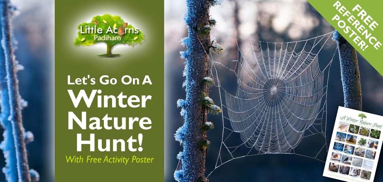 Let's Go On A Winter Nature Hunt! (With Free Activity Poster) Let's Go On A Winter Nature Hunt! (With Free Activity Poster)